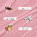 155.webp